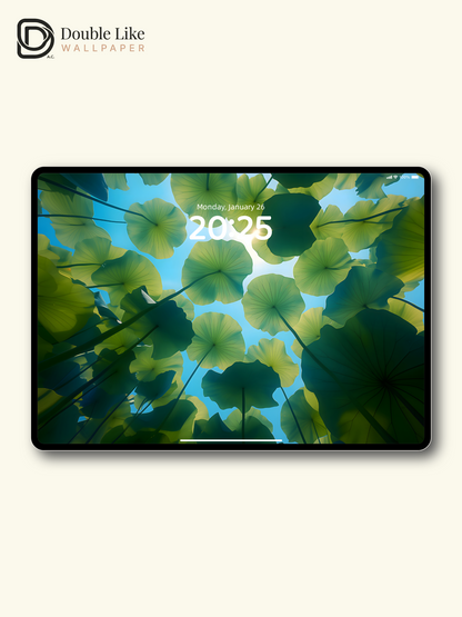 Green Lotus Leaves Sunlight Under-Leaf Aesthetic Lock Screen Wallpaper Pack [#ZJYX0538]