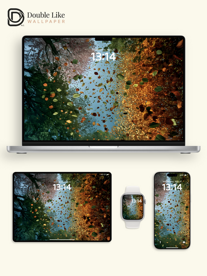 Four Seasons Changing Tree Canopy Digital Art Wallpaper Pack [#ZJYX0861]