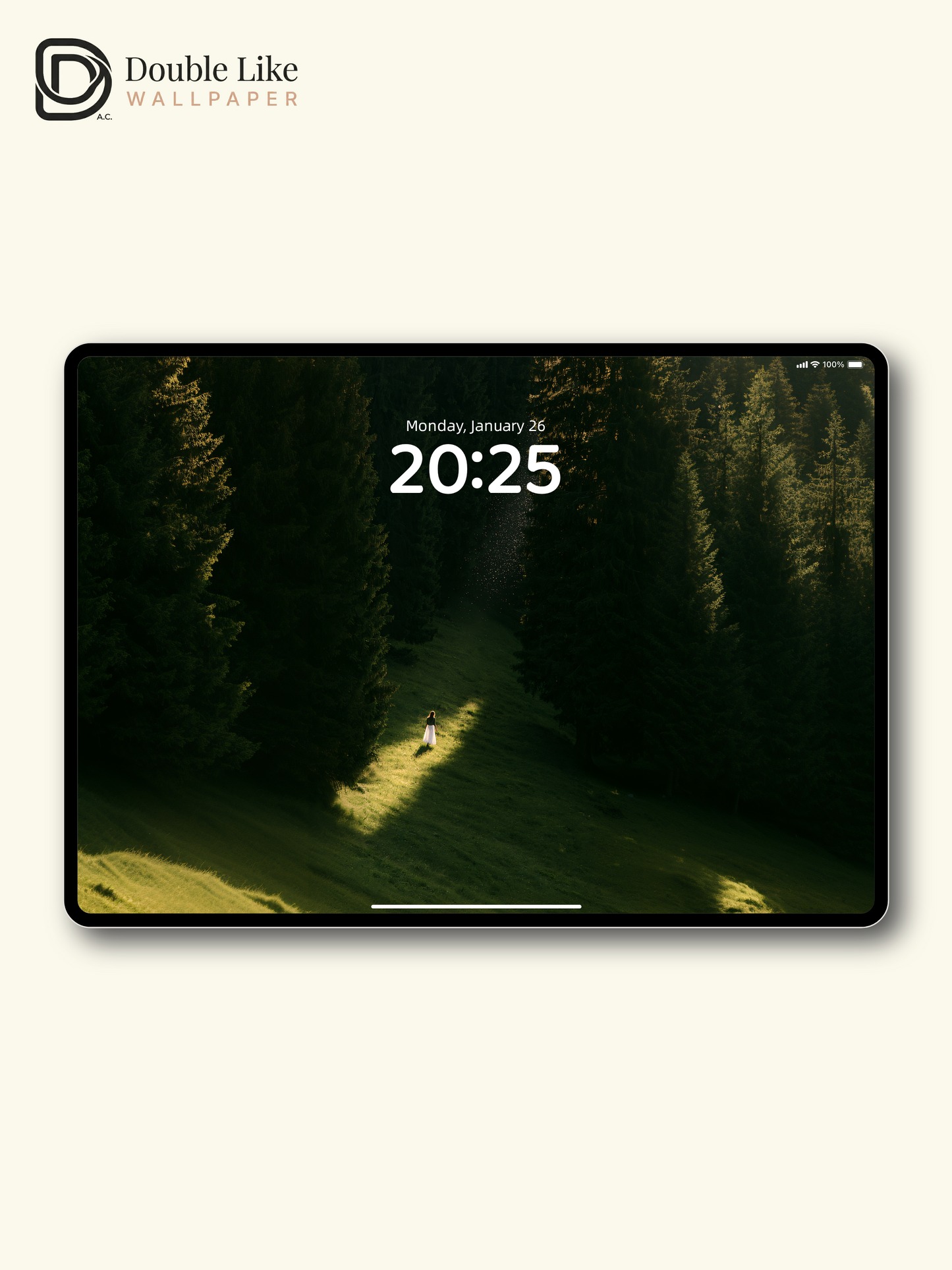 Sunlit Forest Meadow Solitude Aesthetic Wallpaper Pack [#JJ1401]