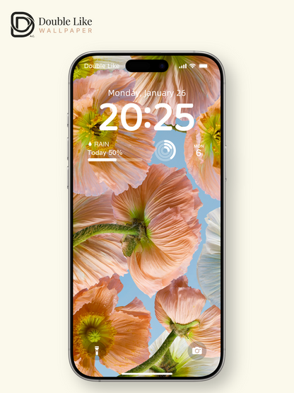 Aesthetic Pastel Peach Poppy Flowers Cinematic Sky Blue Wallpaper Pack [#ZMY494]