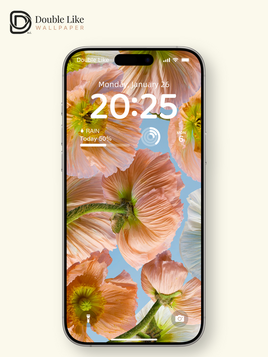 Aesthetic Pastel Peach Poppy Flowers Cinematic Sky Blue Wallpaper Pack [#ZMY494]