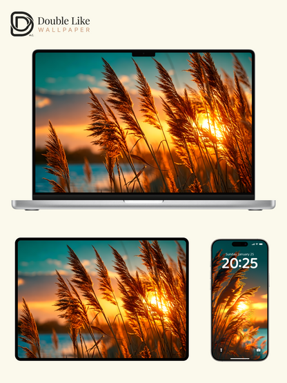 Aesthetic Reed Grass Golden Sunset Lake Landscape Digital Art Wallpaper Pack [#LFHL1027]
