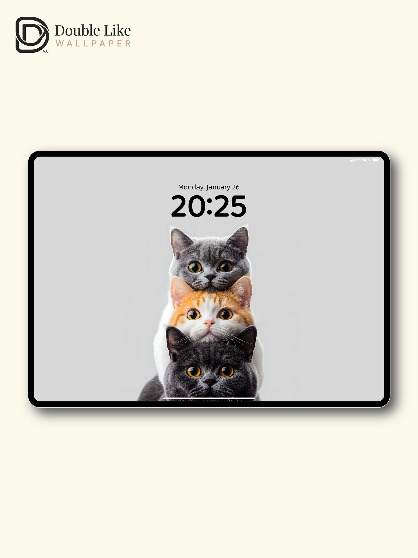 Stacked Kitties Therapy Pack | Cute Triple Cat Dynamic Wallpaper Bundle [#ZMY063]