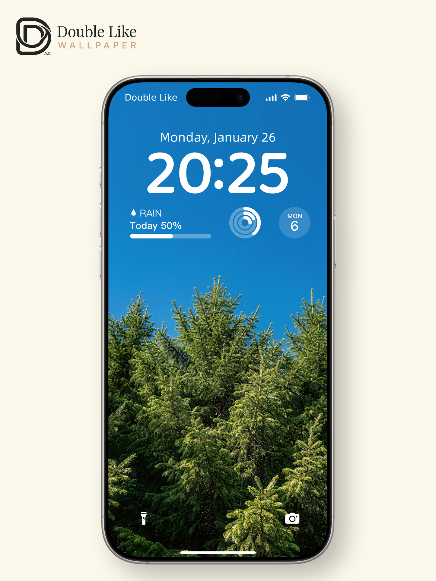 Clear Sky Spruce Forest HD Scenery Wallpaper Pack [#LFHL30326]