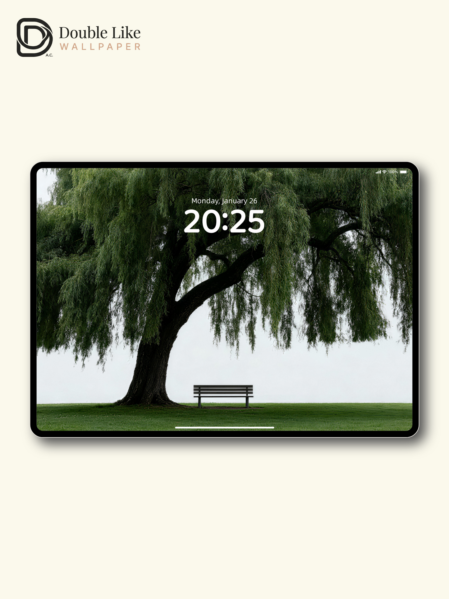 "The Empty Bench" Lonely Willow Tree Wallpaper Set [#LFHL30511]