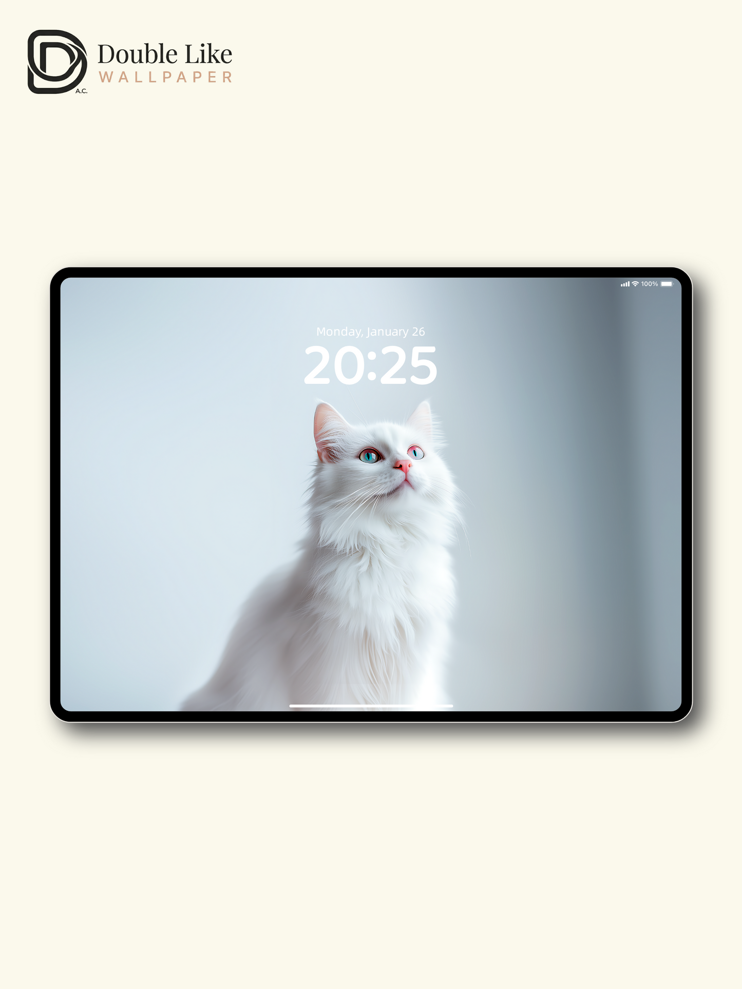 Cute White Cat Soft Aesthetic Wallpaper Pack [#ZJY470]