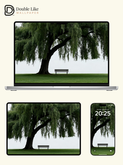"The Empty Bench" Lonely Willow Tree Wallpaper Set [#LFHL30511]