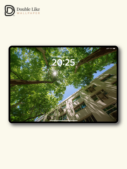 Sunlight Through Trees Summer Fresh Nature Landscape Wallpaper Pack [#JJ1342]
