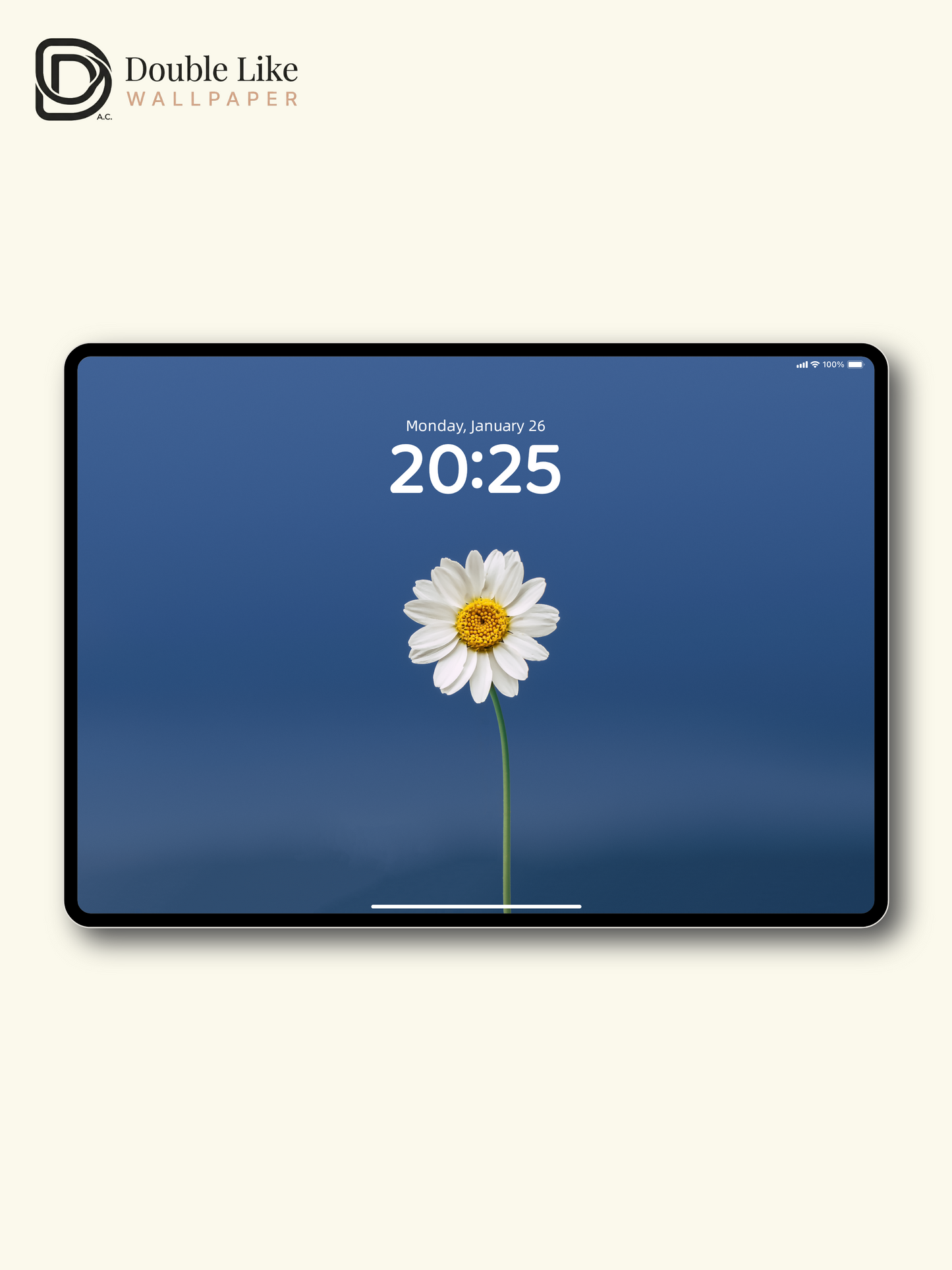 Minimal Daisy On Blue Calming Full Wallpaper Set [#ZMY457]