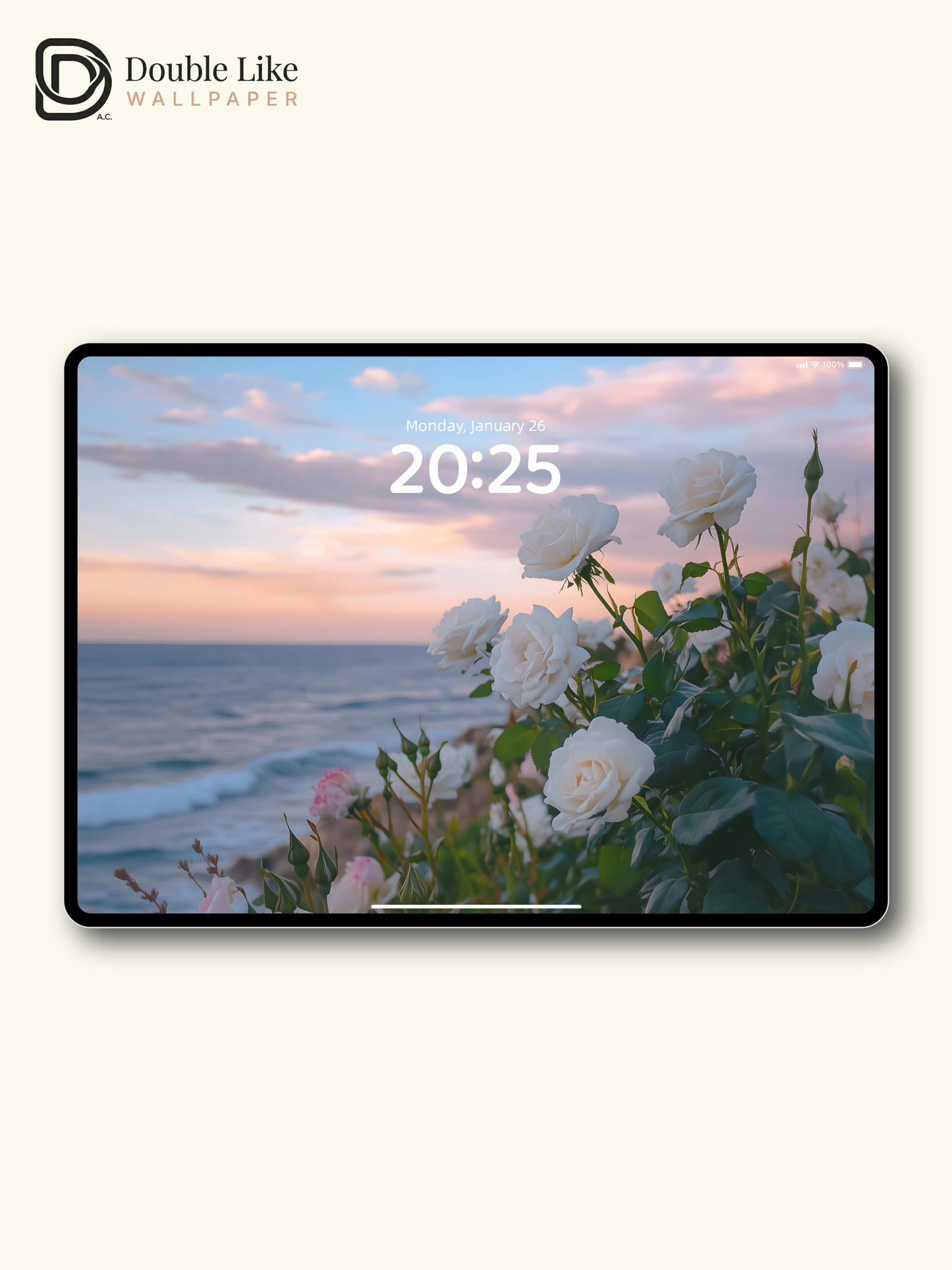 Romantic White Roses Pastel Sunset Ocean Lock Screen Wallpaper Pack [#ZJYX0430]
