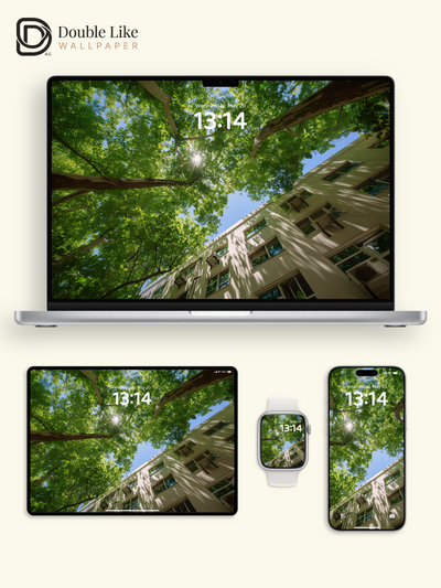 Sunlight Through Trees Summer Fresh Nature Landscape Wallpaper Pack [#JJ1342]