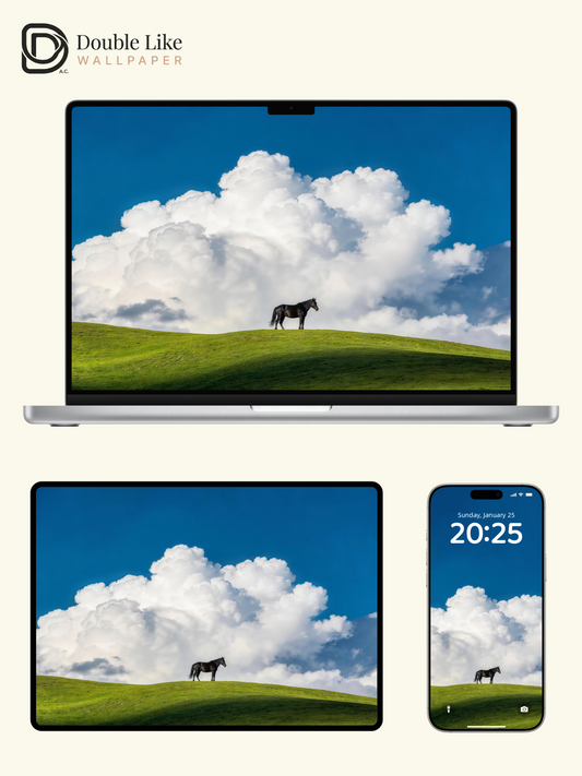 Lone Black Horse On Green Hill Calming Inspirational Minimal Landscape Wallpaper Pack [#LFHL30410]