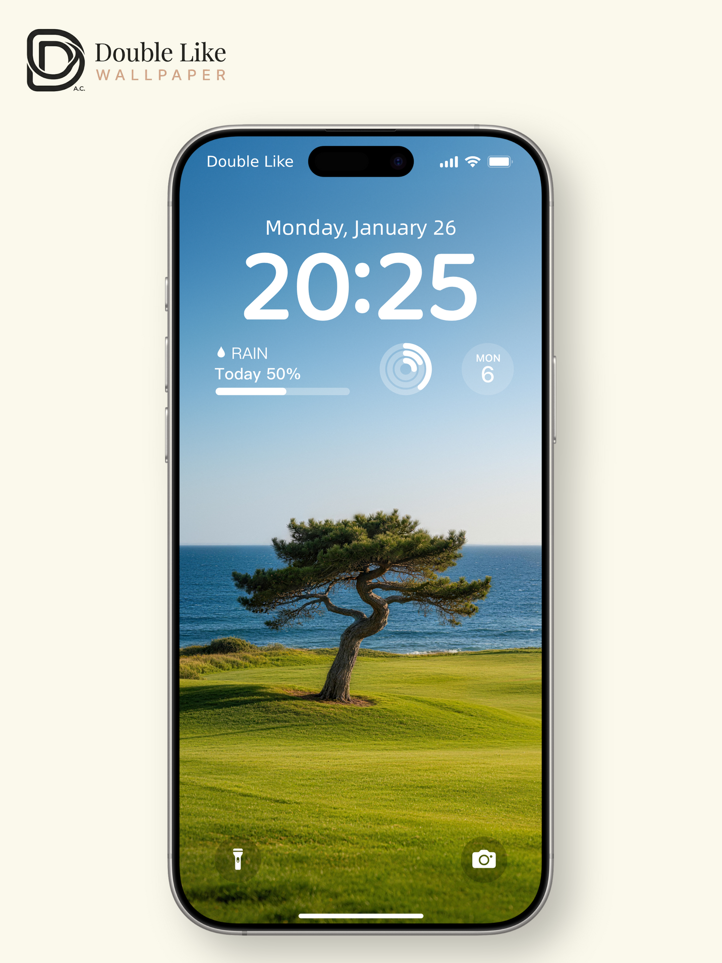 Coastal Lone Pine Blue Sea Healing Inspirational Scenery Wallpaper Pack [#LFHL30325]