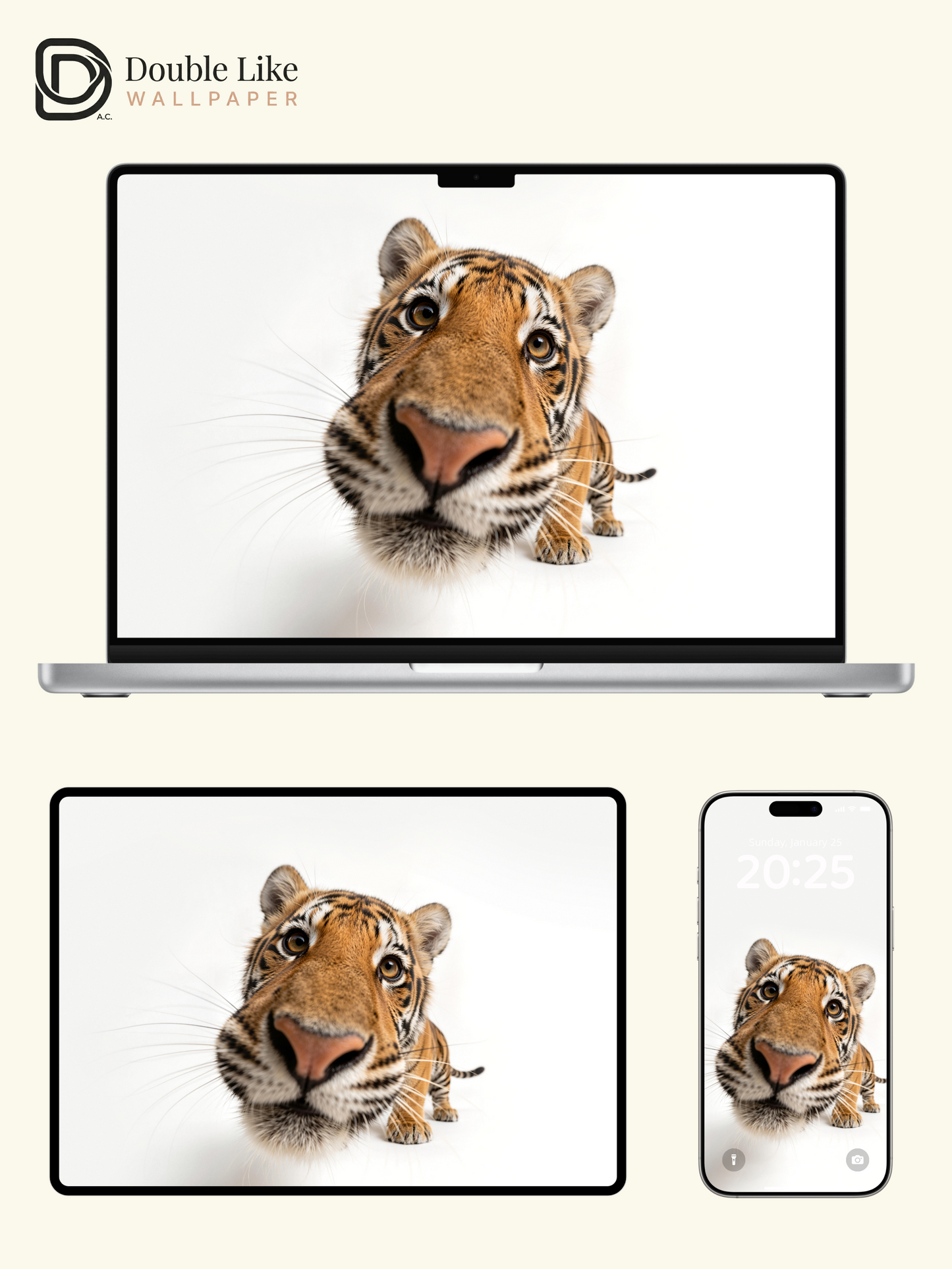 Cute Tiger Close Up Photography Aesthetic Wallpaper Pack [#LFHL30523]