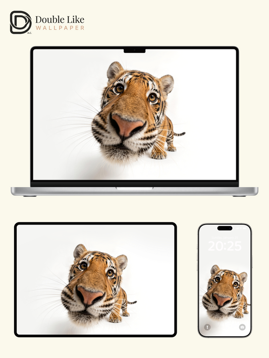 Cute Tiger Close Up Photography Aesthetic Wallpaper Pack [#LFHL30523]