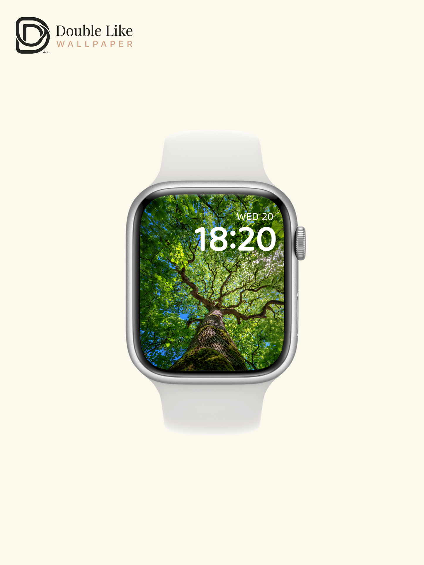 Vibrant Sunlit Forest Tree Canopy Photography Wallpaper Pack [#JJ1210]
