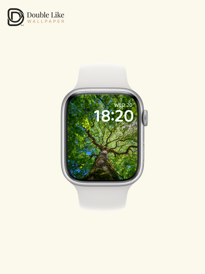 Vibrant Sunlit Forest Tree Canopy Photography Wallpaper Pack [#JJ1210]
