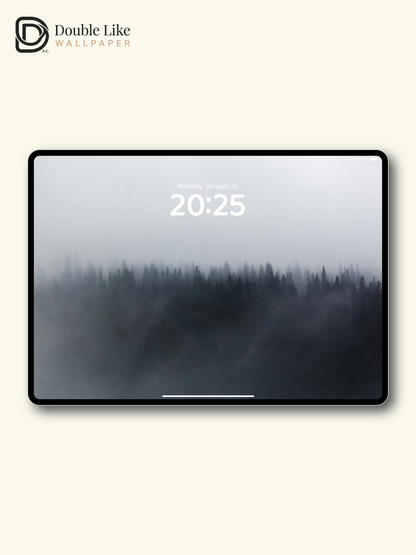 Misty Forest Landscape Calm Aesthetic Wallpaper [#ZJY2534]