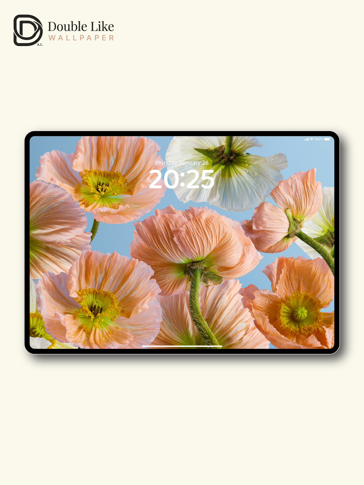 Aesthetic Pastel Peach Poppy Flowers Cinematic Sky Blue Wallpaper Pack [#ZMY494]