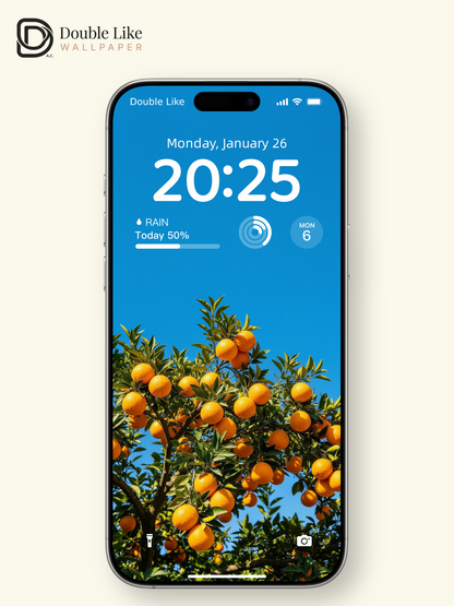 Vibrant Orange Tree Under Blue Sky Nature Aesthetic Wallpaper Pack [#LFHL30622]