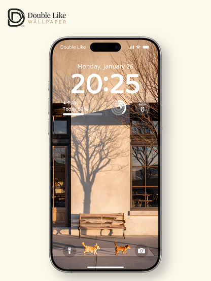 Golden Hour Street Dogs Sunset Shadow Aesthetic Wallpaper Pack    [#JJ1353]