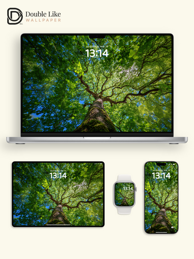 Vibrant Sunlit Forest Tree Canopy Photography Wallpaper Pack [#JJ1210]