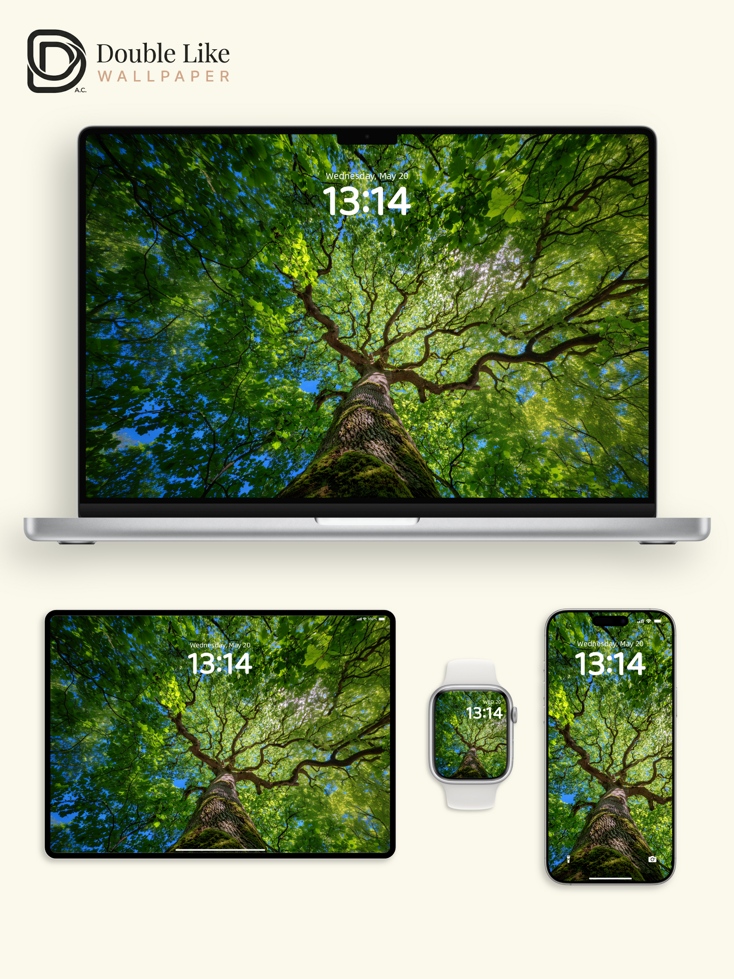 Vibrant Sunlit Forest Tree Canopy Photography Wallpaper Pack [#JJ1210]