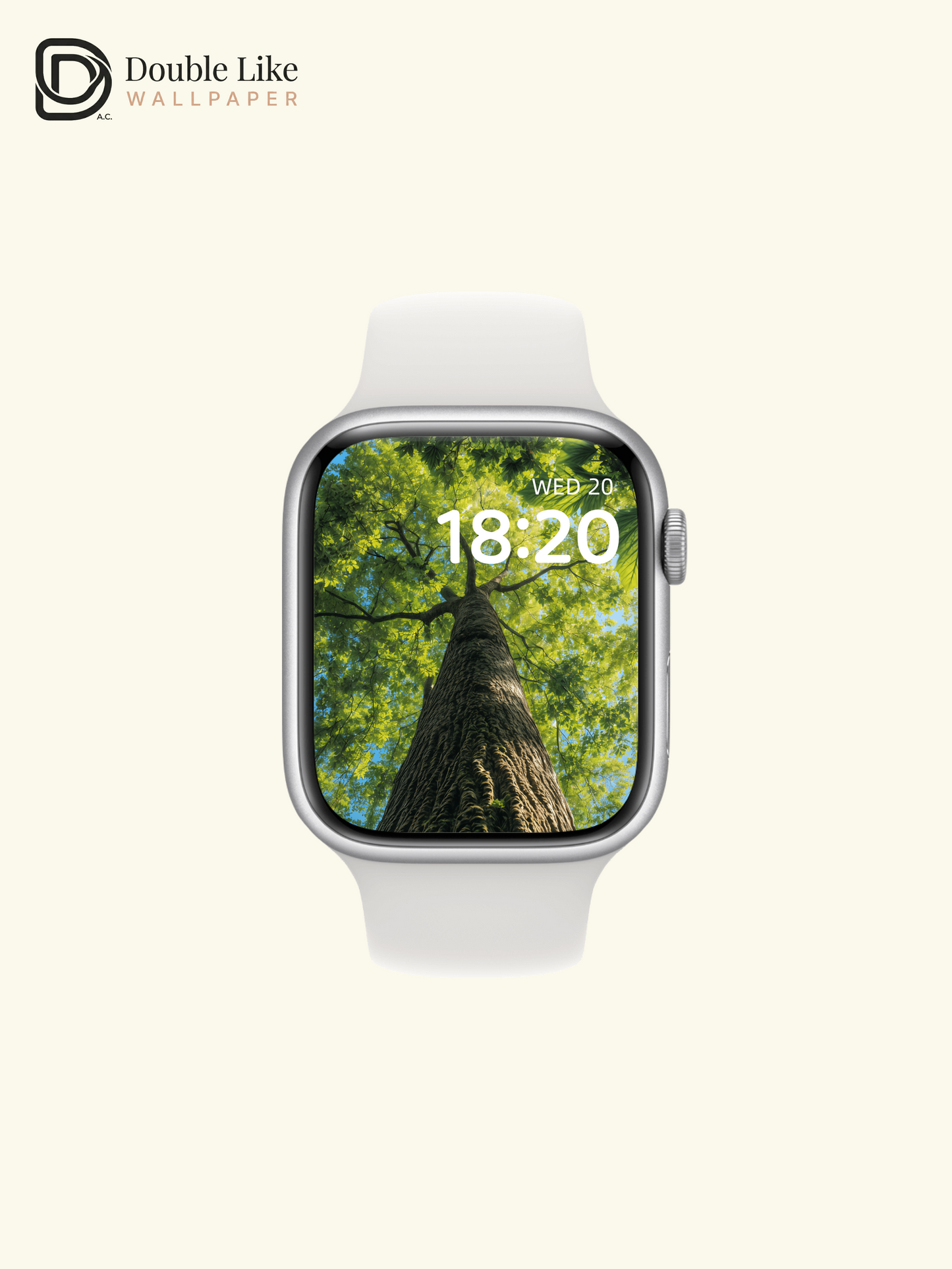 Green Forest Canopy Tree Looking Up Landscape Wallpaper Pack [#ZJY328]