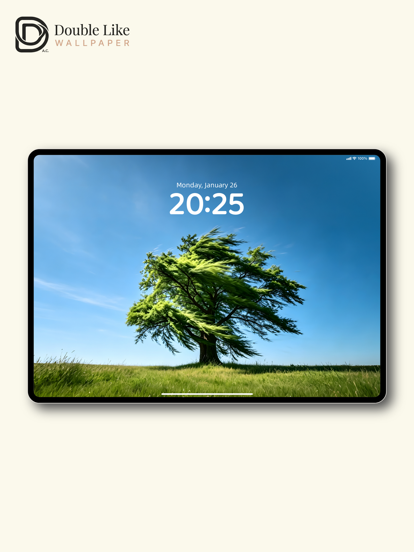 Combined Product Name: Lone Windblown Tree On Clear Sky Meadow Calming Inspirational Atmospheric Nature Landscape Full-Device Wallpaper Pack [#ZMY474]