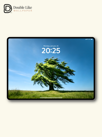 Combined Product Name: Lone Windblown Tree On Clear Sky Meadow Calming Inspirational Atmospheric Nature Landscape Full-Device Wallpaper Pack [#ZMY474]