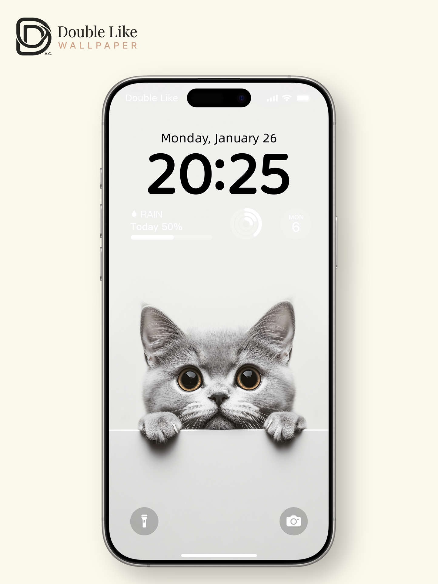 Curious Peeking British Shorthair Cat Minimalist Wallpaper Pack [#JJ20301]