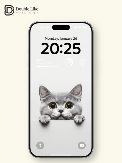 Curious Peeking British Shorthair Cat Minimalist Wallpaper Pack [#JJ20301]