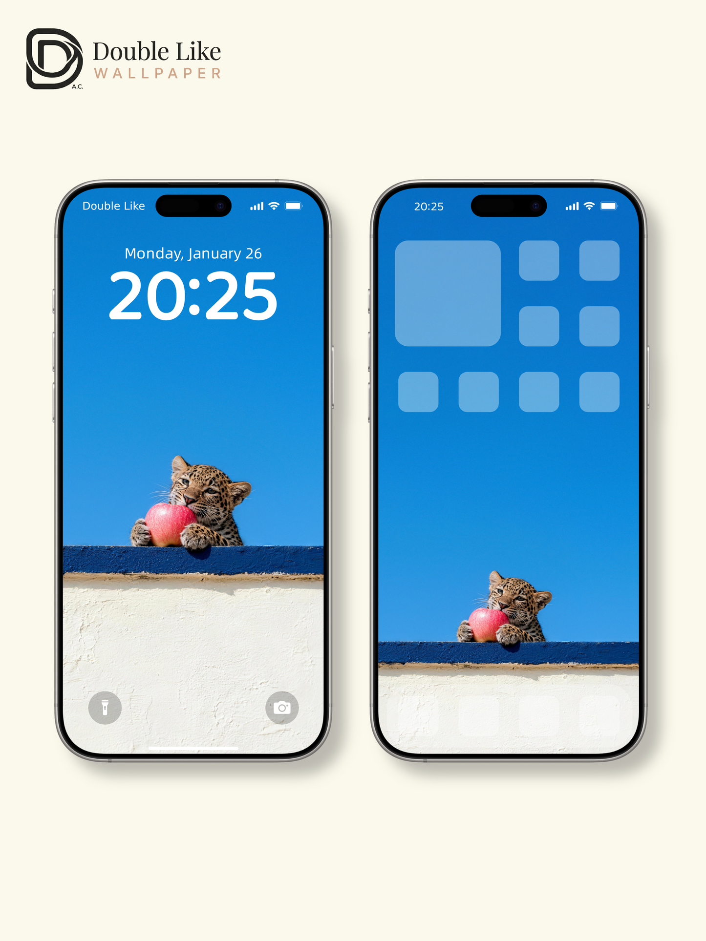 Cute Baby Leopard With Apple Healing HD Wallpaper Pack [#LFHL30401]