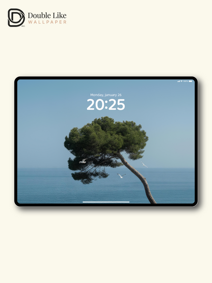 Healing Seascape Wallpaper Pack With Lone Pine Tree & Seagulls Over Blue Ocean [#LFHL30510]