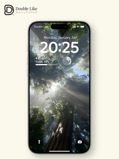 Healing Forest Sunlight Rays Nature Lock Screen Wallpaper Pack [#ZJYX0656]
