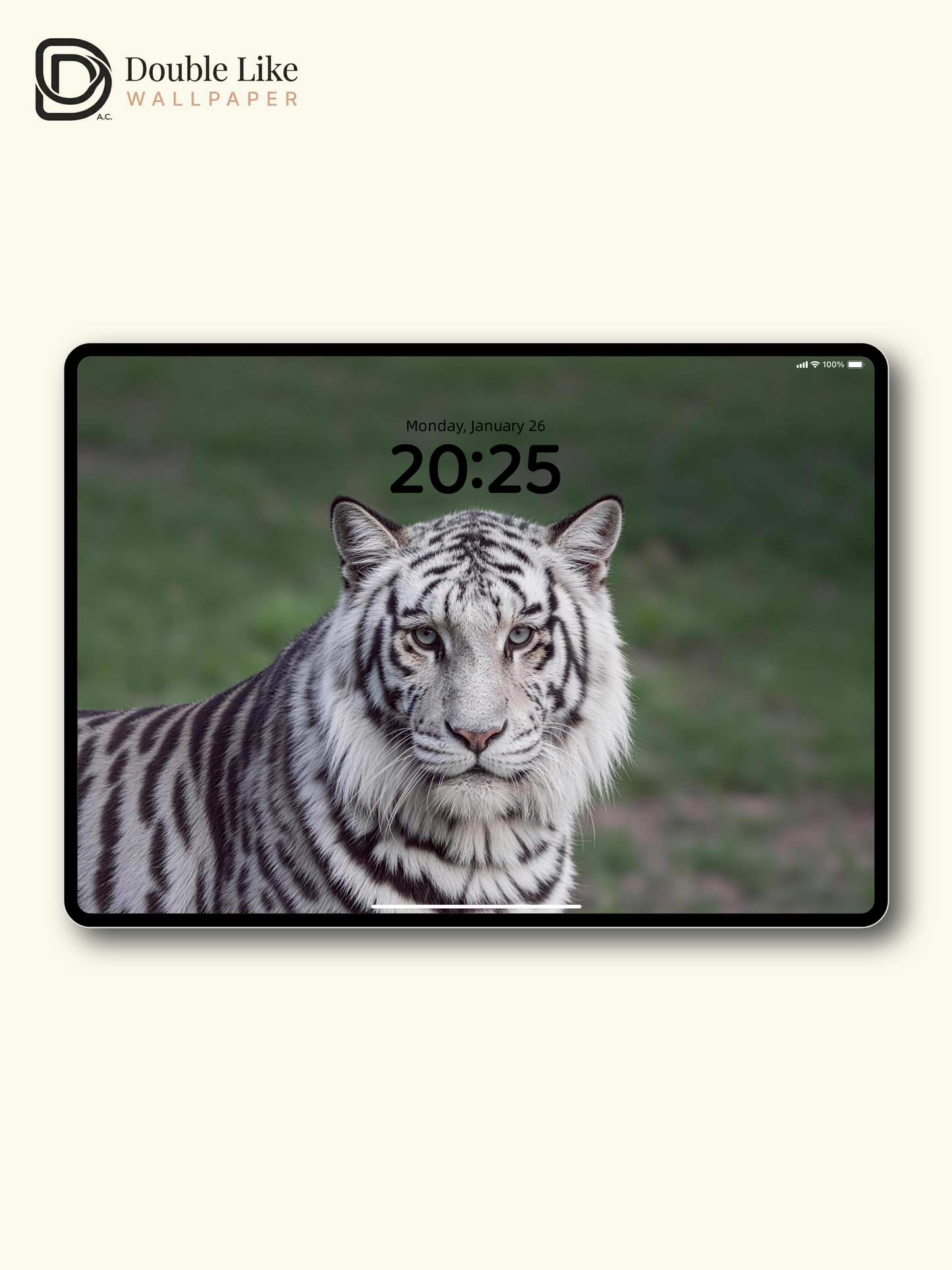 White Tiger In Green Wilderness Premium Motivational Full Device Wallpaper Pack [#LFHL30121]