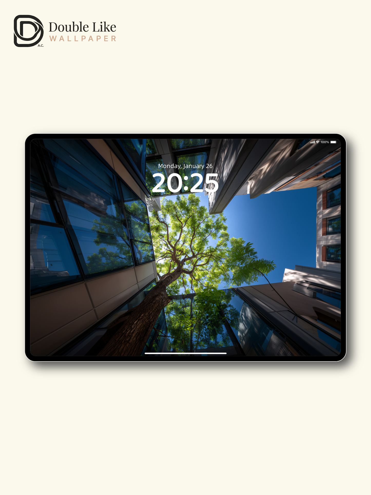 Low Angle City Trees Architecture Aesthetic Nature Wallpaper Pack [#JJ1303]