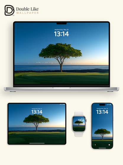 Minimalist Lonely Tree Blue Ocean Calm Nature Lock Screen Wallpaper Pack [#ZJYX0457]