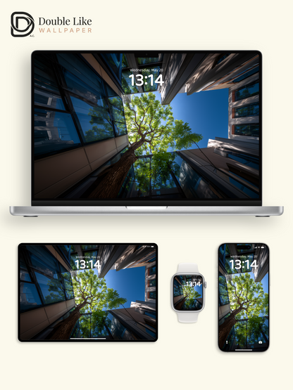 Low Angle City Trees Architecture Aesthetic Nature Wallpaper Pack [#JJ1303]