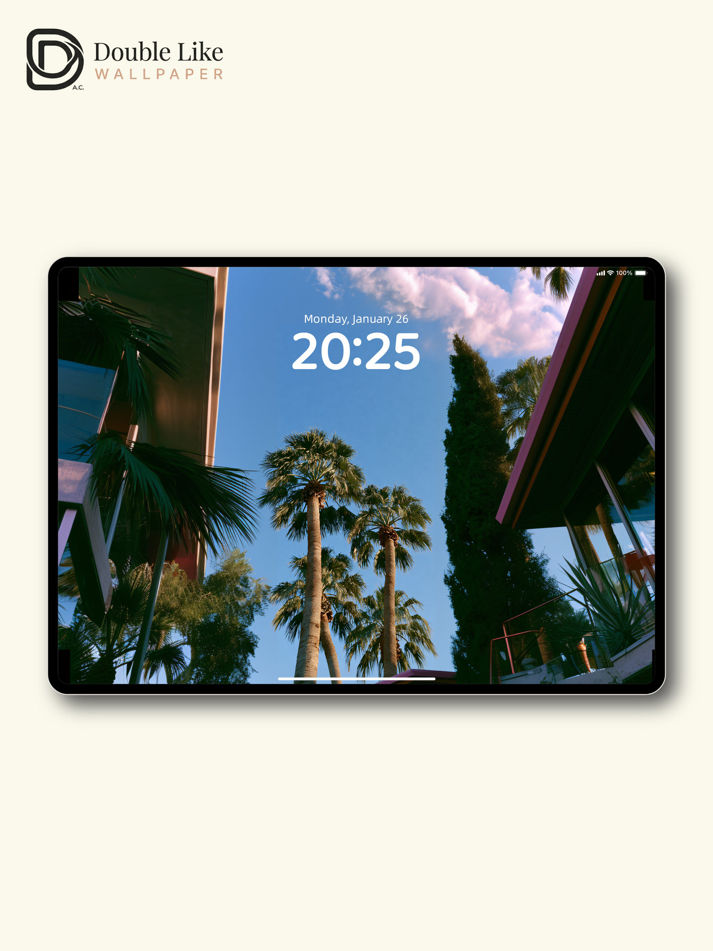 California Palm Trees Low Angle Summer Blue Sky Aesthetic Wallpaper Pack [#JJ1372]