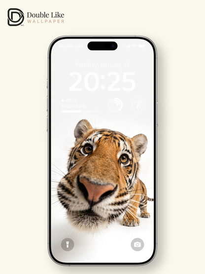 Cute Tiger Close Up Photography Aesthetic Wallpaper Pack [#LFHL30523]