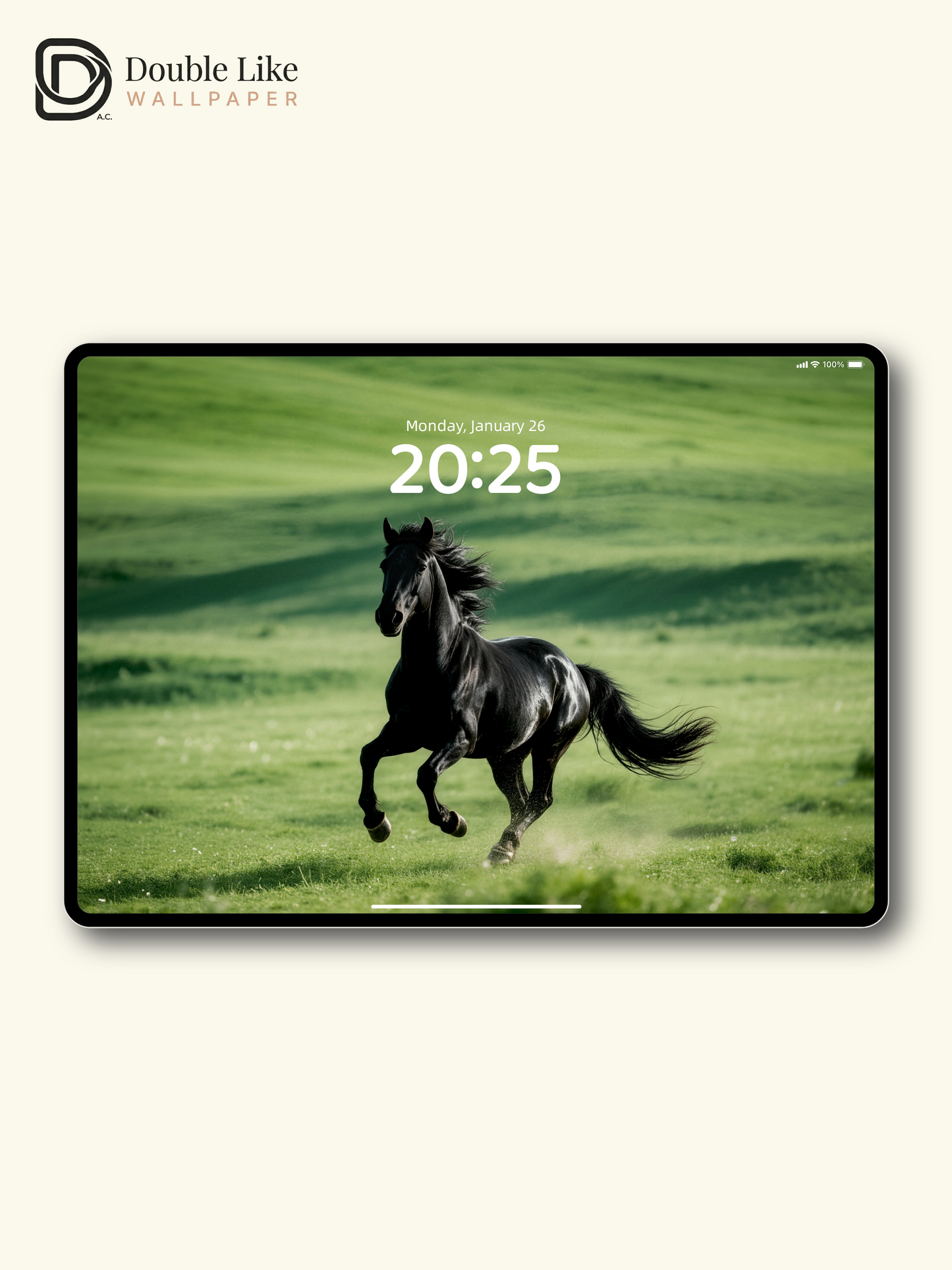 Running Black Horse Grassland Motivational Wallpaper Pack [#LFHL30207]