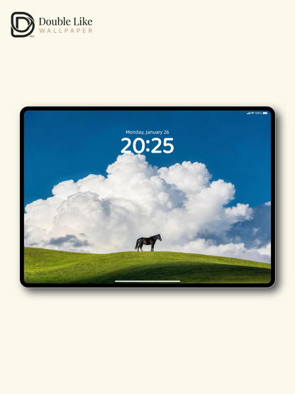 Lone Black Horse On Green Hill Calming Inspirational Minimal Landscape Wallpaper Pack [#LFHL30410]