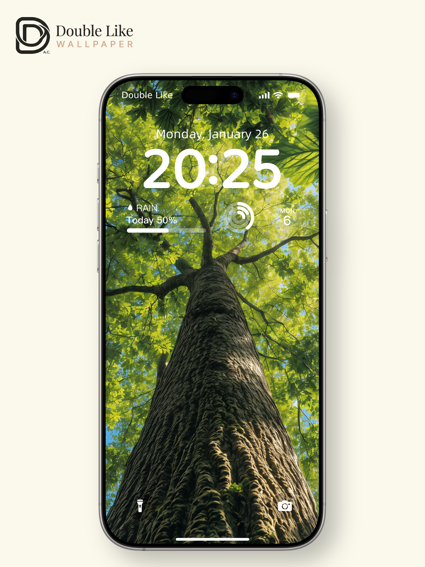 Green Forest Canopy Tree Looking Up Landscape Wallpaper Pack [#ZJY328]
