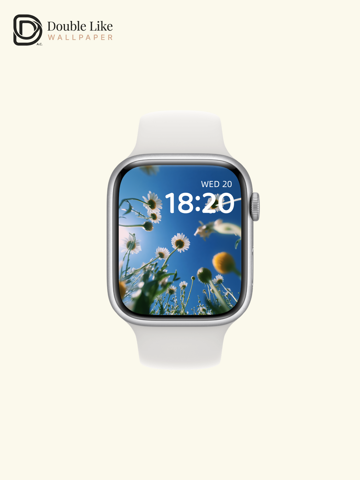 Sunny Blue Sky White Daisy Flower Field Low Angle Aesthetic Wallpaper Pack [#JJ1284]