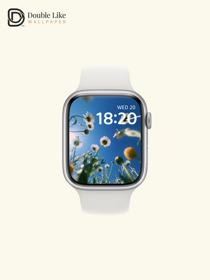 Sunny Blue Sky White Daisy Flower Field Low Angle Aesthetic Wallpaper Pack [#JJ1284]