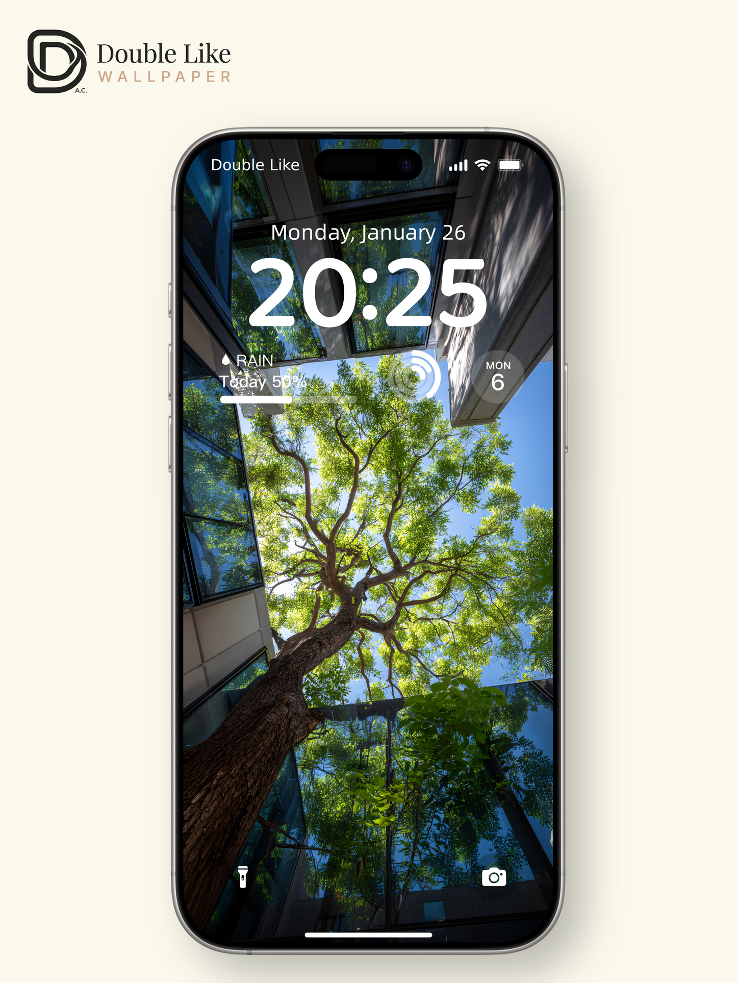 Low Angle City Trees Architecture Aesthetic Nature Wallpaper Pack [#JJ1303]