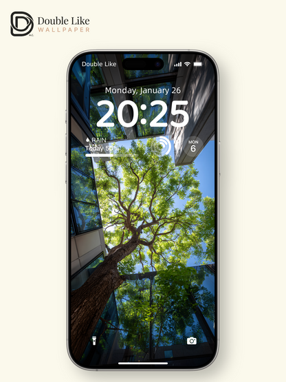 Low Angle City Trees Architecture Aesthetic Nature Wallpaper Pack [#JJ1303]