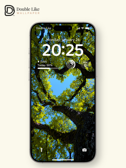 Heart Shaped Tree Canopy Nature Aesthetic Wallpaper Pack [#JJ1362]