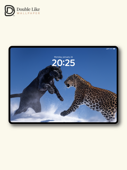 Wild Dual Leopards Snowy Atmosphere Wallpaper Pack [#LFHL30122]